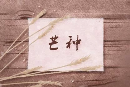 2021年芒种时令的文化寓意 安苗是什么