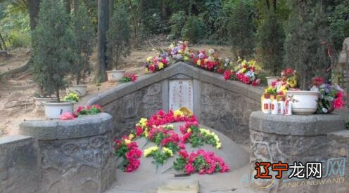 农村俗话：“坟地生有三树，家中能人辈出，”都有啥树？