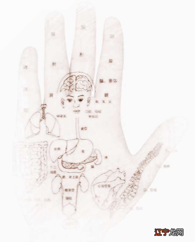 女人手相图解