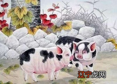 属猪的和属猴的配吗