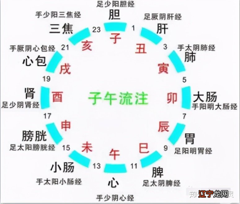 晚上子时属于哪一天，晚上子时是几点