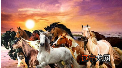 生肖爱情_爱情不会顾负的生肖女_2015年生肖爱情运程添丁