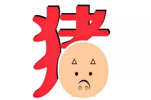 2022属猪人全年运势女,1971年的猪女未来五年的运程