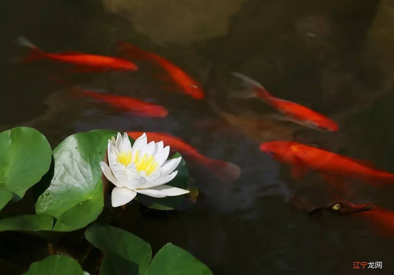 2019年农历五月初四是适合祈福求财的日子吗?