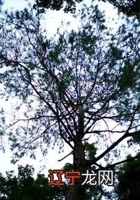 风水堂:八字风水术的玄机所在