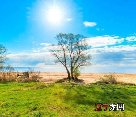 1981年5月出生属鸡人婚姻与命运如何?