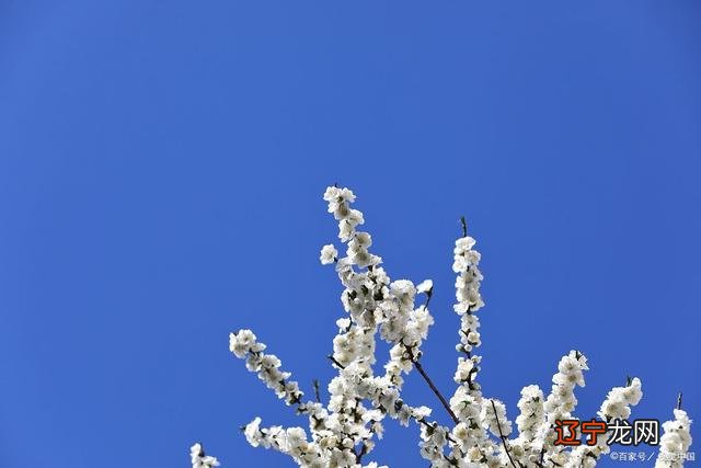 八字命理,身强身弱是否是论命的正确方法?如何论命才是正道?