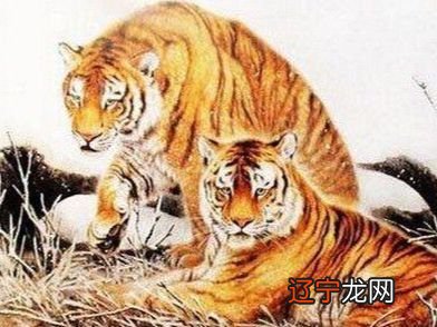 2022年属虎农历几月出生好 虎年出生的宝宝什么命