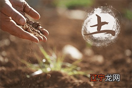 命里土多的男人好不好 土多的男人选什么工作好