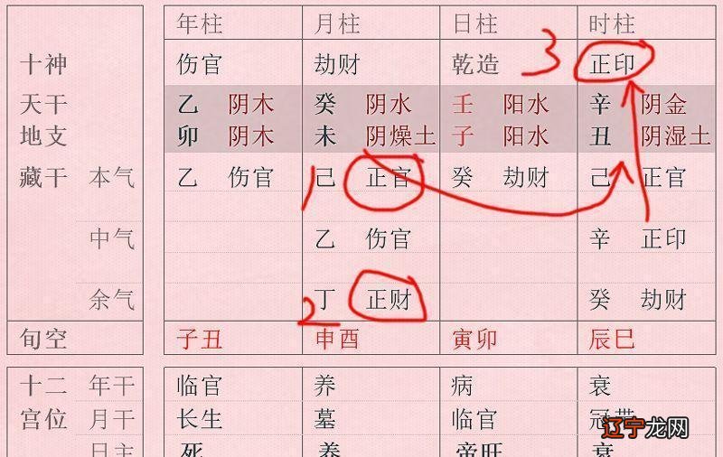 伤官格是什么意思