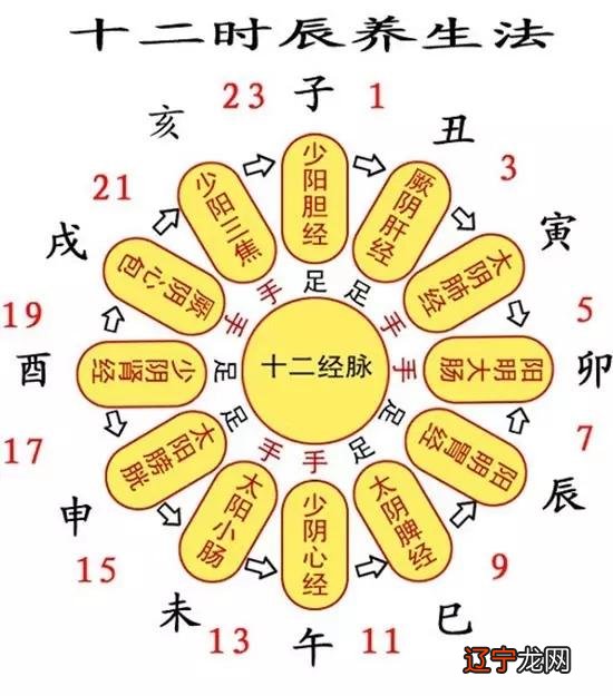 卯时女和丑时男结合好不好,会不会幸福?