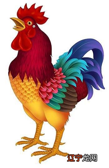 麦玲玲2017年生肖运势大全,这是问12生肖运程