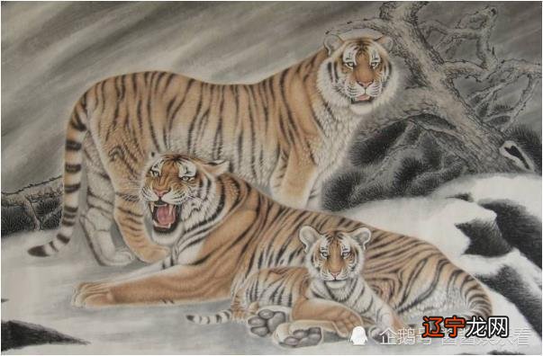 算命网属虎生于辰时 属虎未时出生人的详解