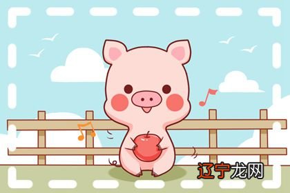 关于卯时出生的女孩属猪命运的信息