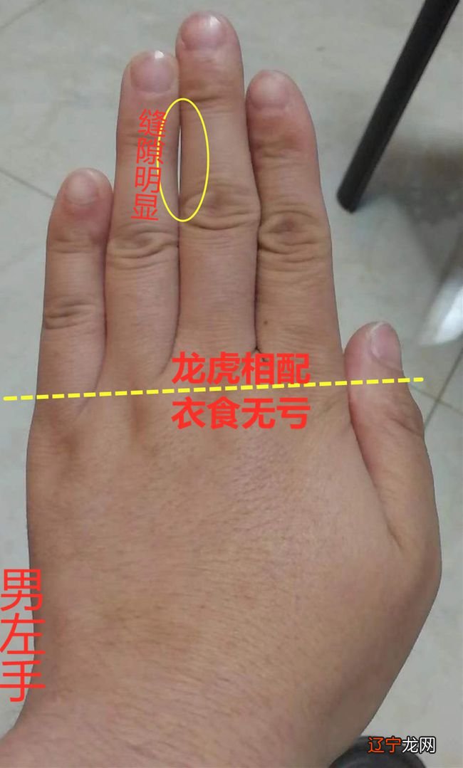 双手断掌的人罕见吗 工作能力非常强