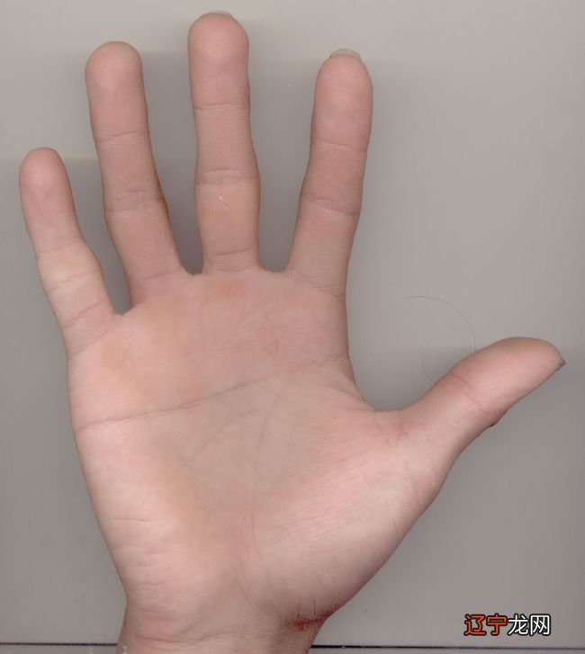 双手断掌的人罕见吗 工作能力非常强