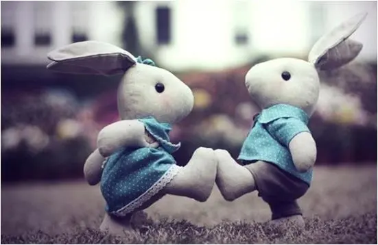 属兔的属相婚配表 和什么属相配 婚姻与命运如何