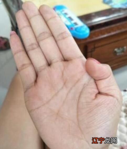 男人川字掌注定富贵命 事业上能一展身手