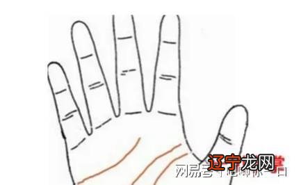 男人川字掌注定富贵命 事业上能一展身手