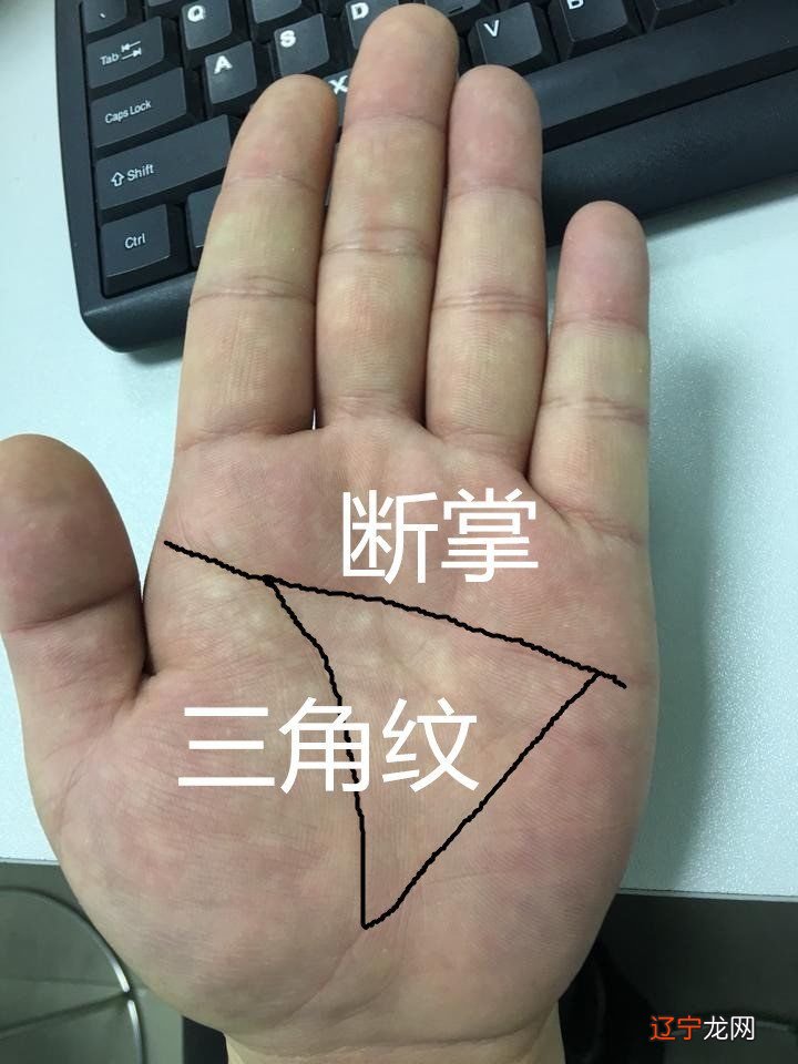 女人双手断掌好吗