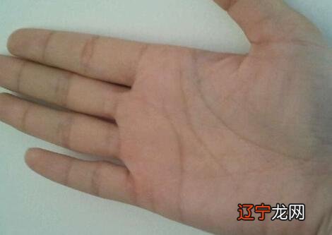 川字掌的女人注定离婚,川字掌的女人命运如何