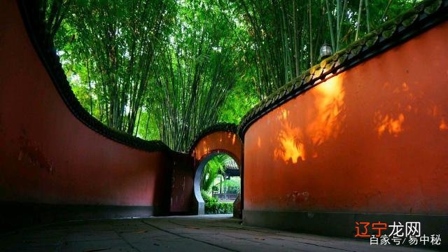 六爻教学第十五课 起卦