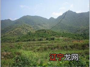 祖坟风水与八字之间有何关系八字分析(图)