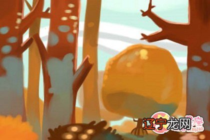 紫微斗数怎么看 看懂紫微命盘的方法