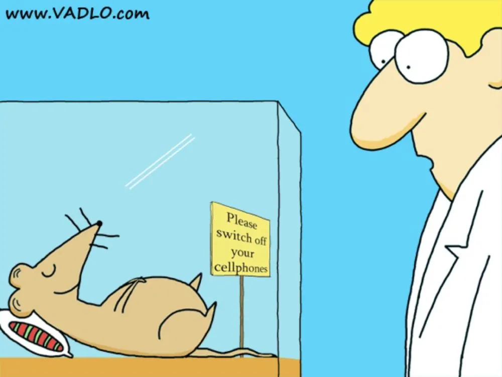 风水堂：1976年属龙人的命运