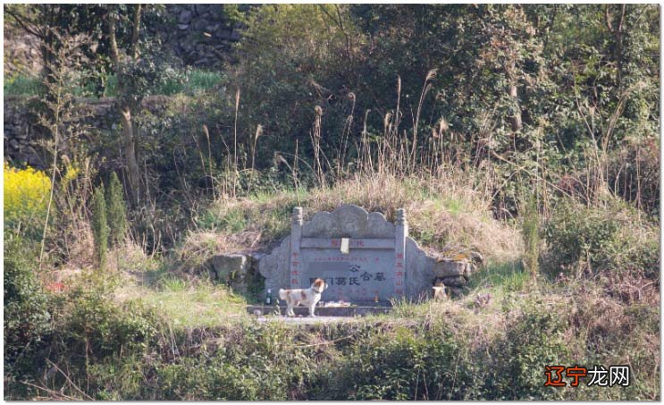 怎样看坟墓风水宝地？ 怎样看坟地风水宝地
