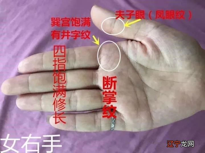 王军:女性断掌手相的实例讲解