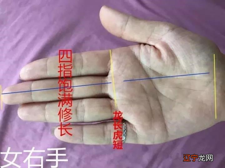 王军:女性断掌手相的实例讲解