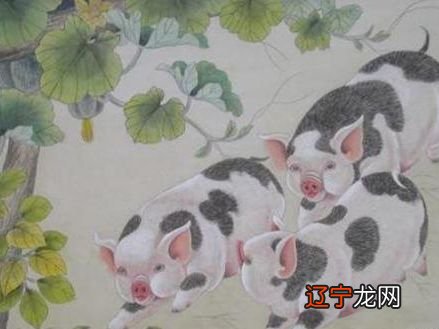 属羊的和什么属相最配