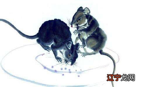 八字婚配 免费测两人八字合不合