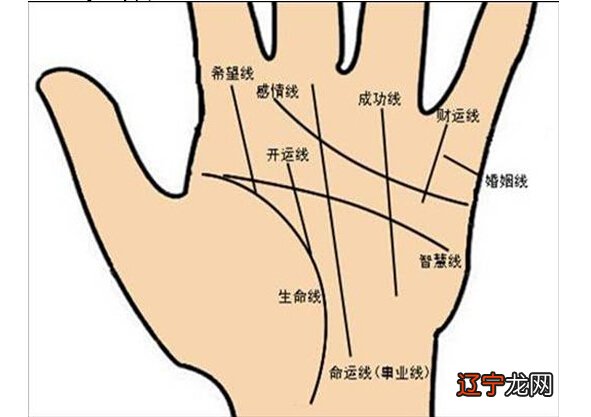 手指纹路占卜算命 指纹算命