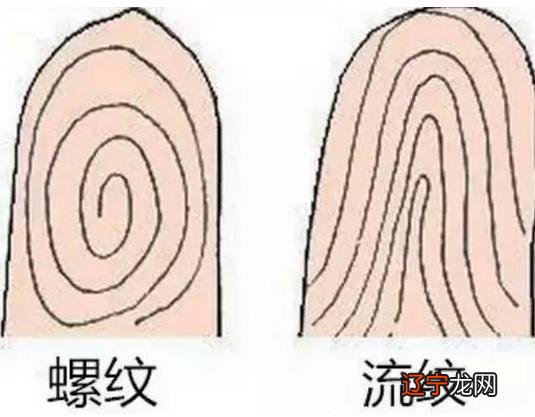 手指纹路占卜算命 指纹算命