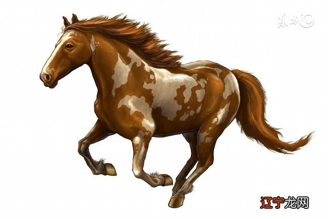 免费测两人八字合不合,详情分析