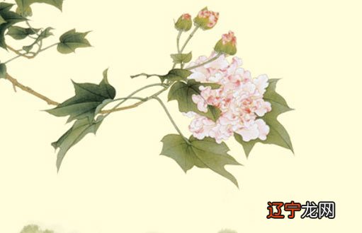 男女合婚宫度表解释 夫妻相克怎么化解