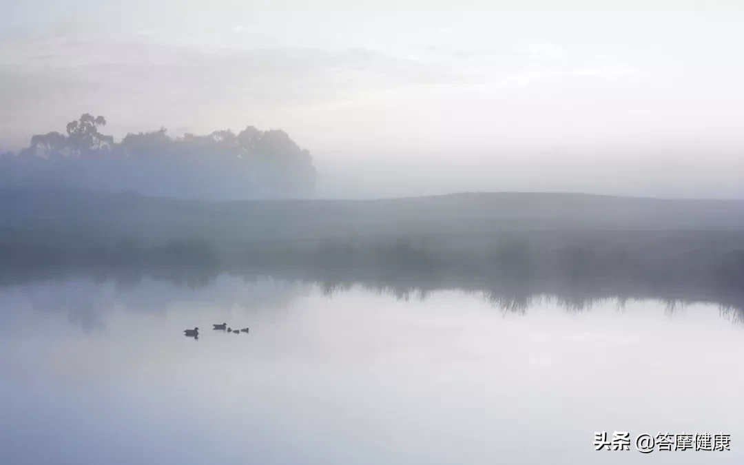 导读中医并非「医学」、「医术」或「医技」