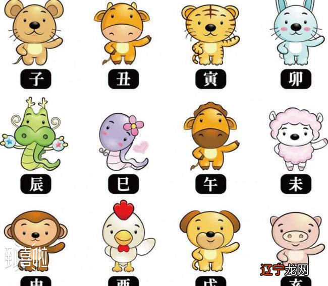 十二生肖婚配讲究，十二生肖谁和谁配对才算是上上等的婚姻