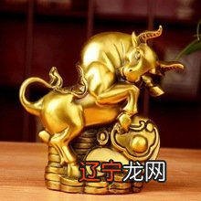 生肖鸡男与生肖羊女_属羊女跟什么生肖最配_生肖虎女配羊男