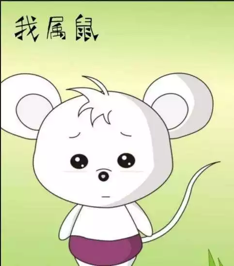 属鼠的人什么时辰出生最好,你知道这是怎么回事吗?