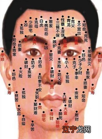 如何学会看面相最全面相学图解三教学会如何看