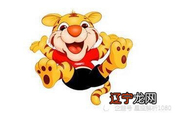 男女属相配对大全最准,十二生肖配对大全?