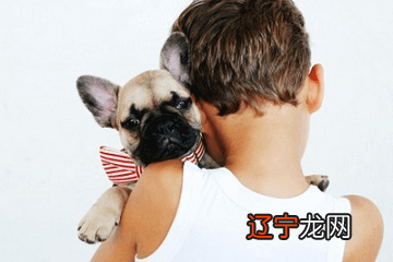 男女属相配对大全最准,十二生肖配对大全?