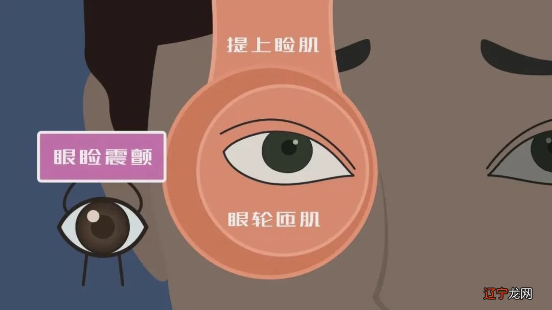 右眼皮跳如何化解,右眼下眼皮跳怎么化解