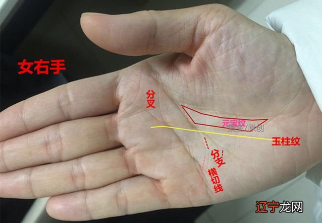 掌纹真的“掌握”人的命运吗