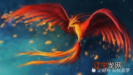 天蝎座日期_太阳天蝎水星天蝎_天蝎符号天蝎行动