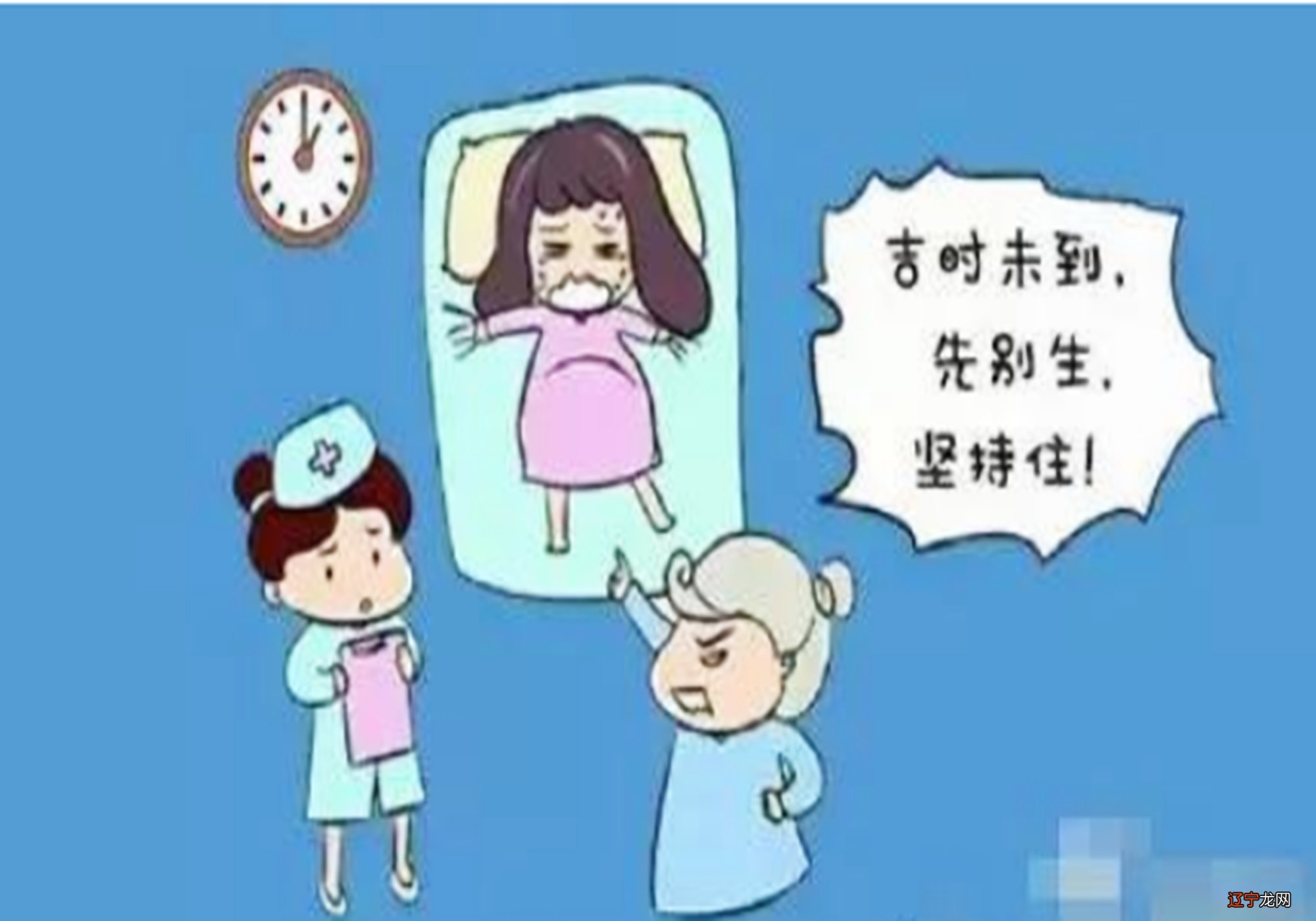 龙年宝宝几月出生好龙年哪个月份出生的宝宝最好