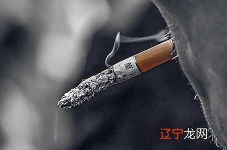 龙年宝宝几月出生好龙年哪个月份出生的宝宝最好